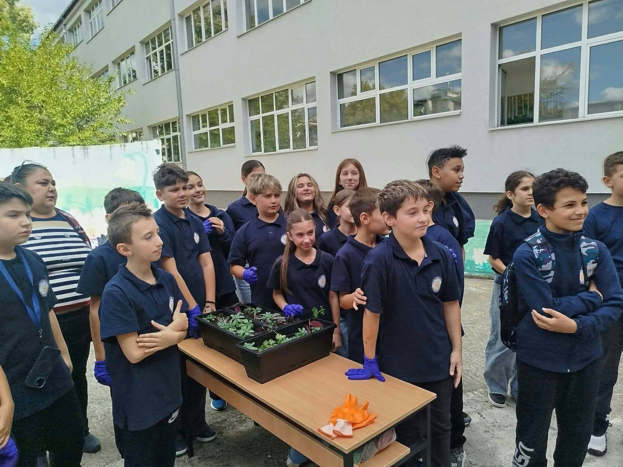 Students working together at school